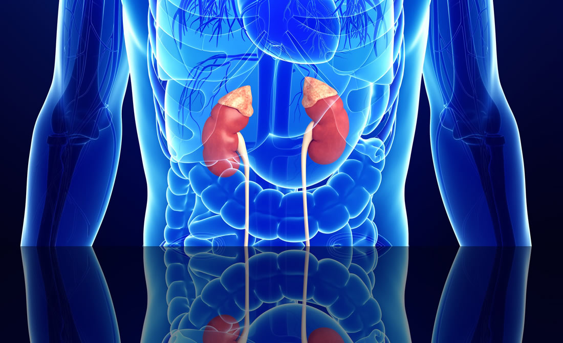 congenital adrenal hyperplasia congenital adrenal hyperplasia